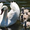 Que faire à Metz en famille