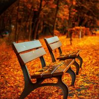 Sélection des meilleurs parcs à Plappeville
