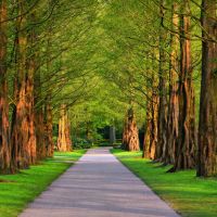 Top des 11 meilleurs parcs à Vany en 2022