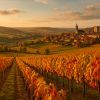 Secrets et saveurs de la route des vins